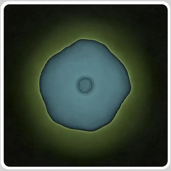 Wa Wu We - 108 Dimensions Of Green | Hypnus Records (HYPNUS027) • Vinyl 2lp • Deep Techno, Dub Techno - Fast shipping