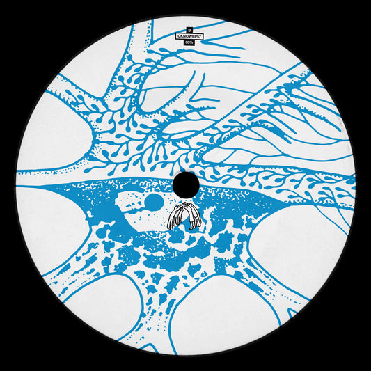 Fader Cap - Echo Chamber EP CKNOWEP57 Acid Electro House music back cover