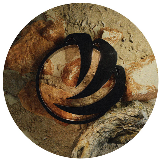 Various - Vivendum IV I Fur:ther Sessions (FSR006)