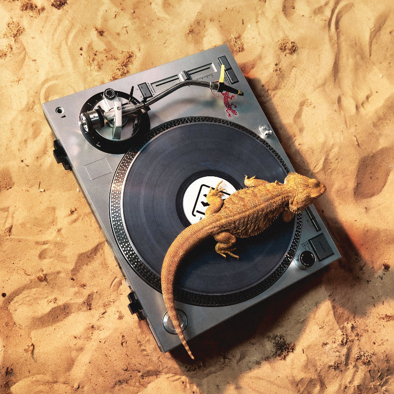 X-Coast – Riviera Collection 2x12" vinyl on Riviera Records (XTC005)