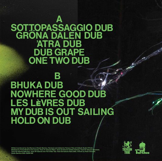 Axel Boman X Trensum Tribe Luz Quest For Fire In Dub Studio Barnhus BARN 099 vinyl record Australia