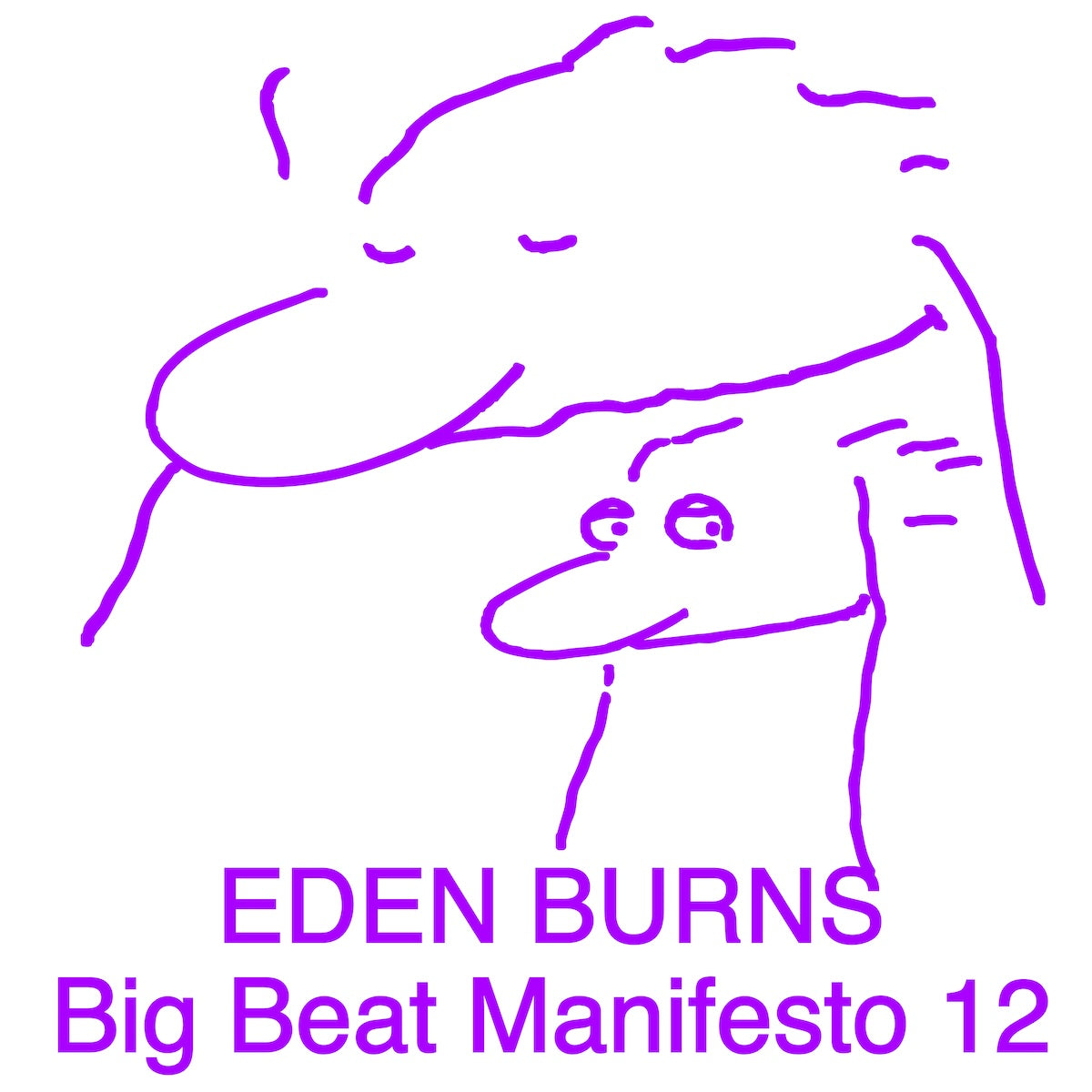 Eden Burns Big Beat Manifesto Vol. XII on Public Possession PP122 vinyl record Australia
