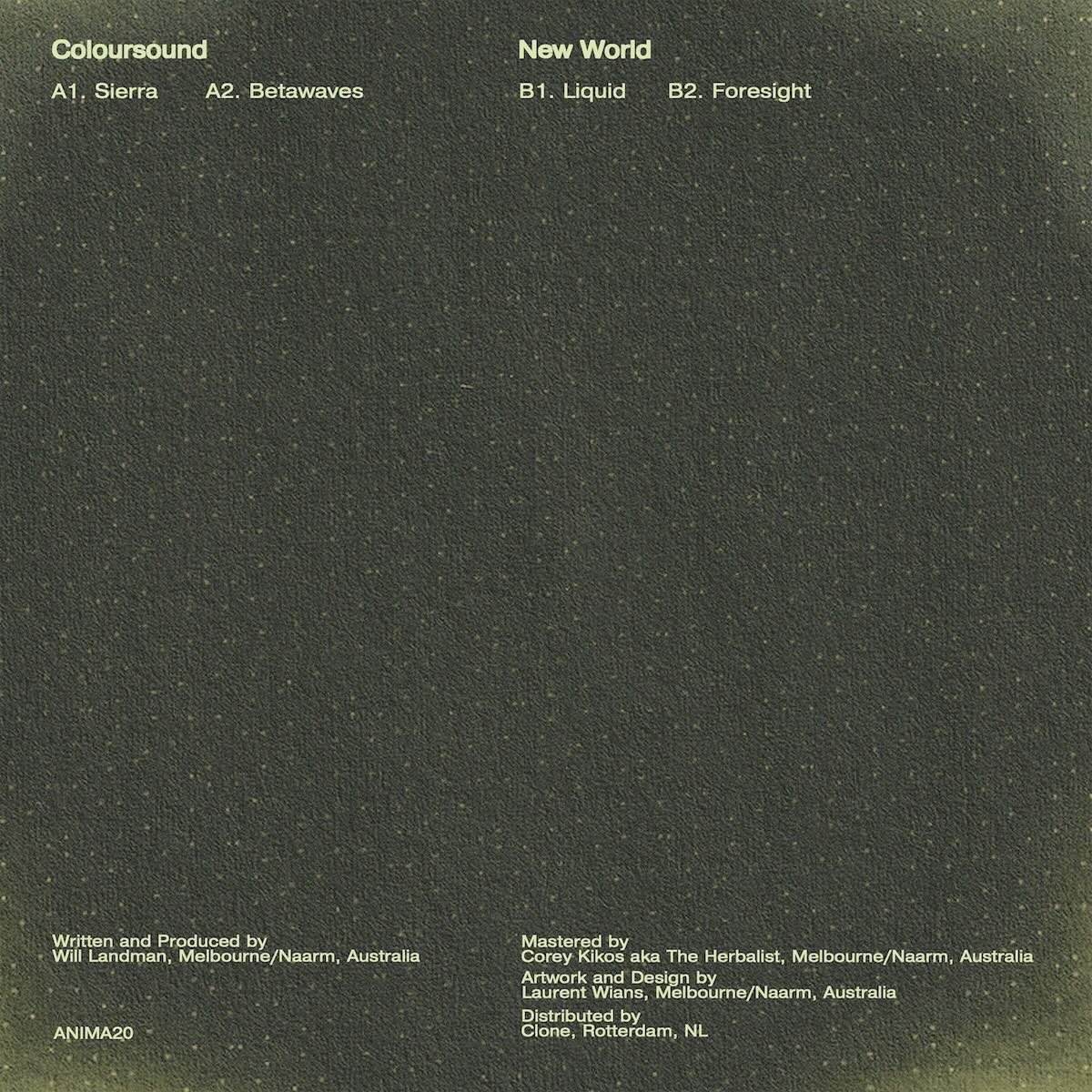 Coloursound – New World on Animalia ANIMA20 dubstep vinyl record Australia