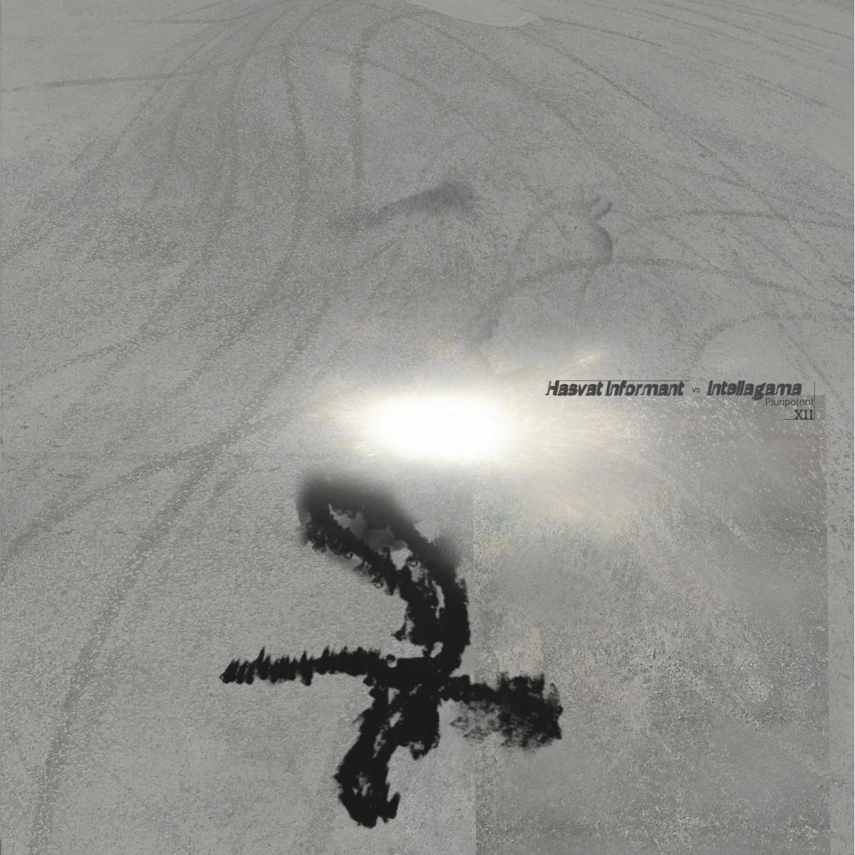 Hasvat Informant & Intellagama Pluripotent V Amniote Editions HbA-12EP vinyl record Australia