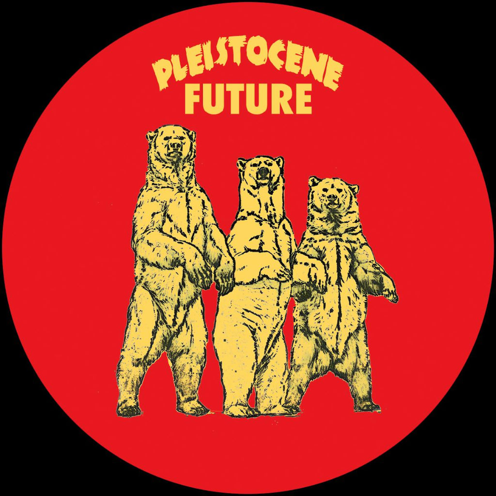 Lenson & 543ff – Pleistocene Future 8 vinyl record, released on Pleistocene Future (PF008). Raw, peak-time techno with analog energy. Fast shipping Australia-wide.
