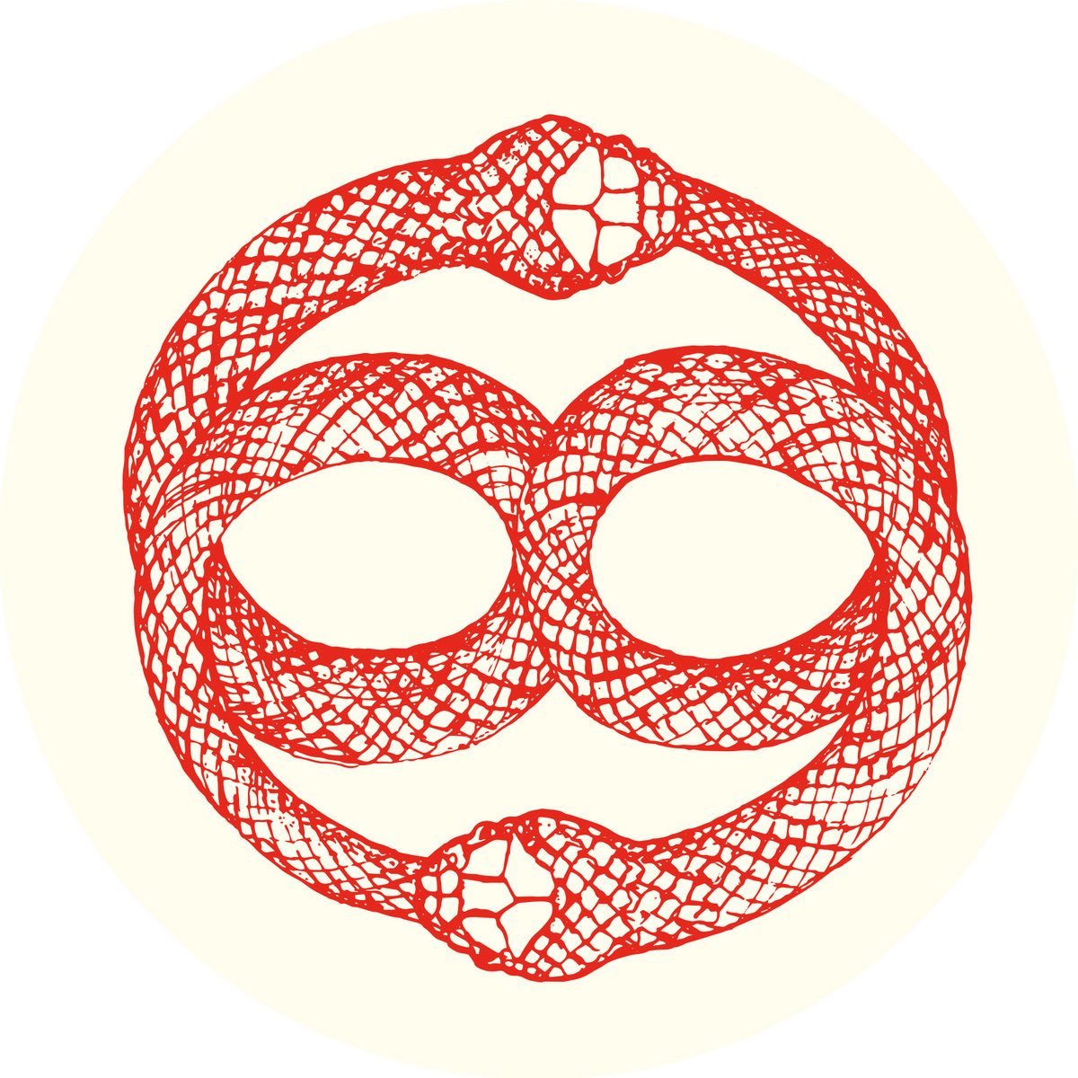 Ewan Jansen Ciclo Mental EP Red Ember Records RERV007 vinyl record Australia