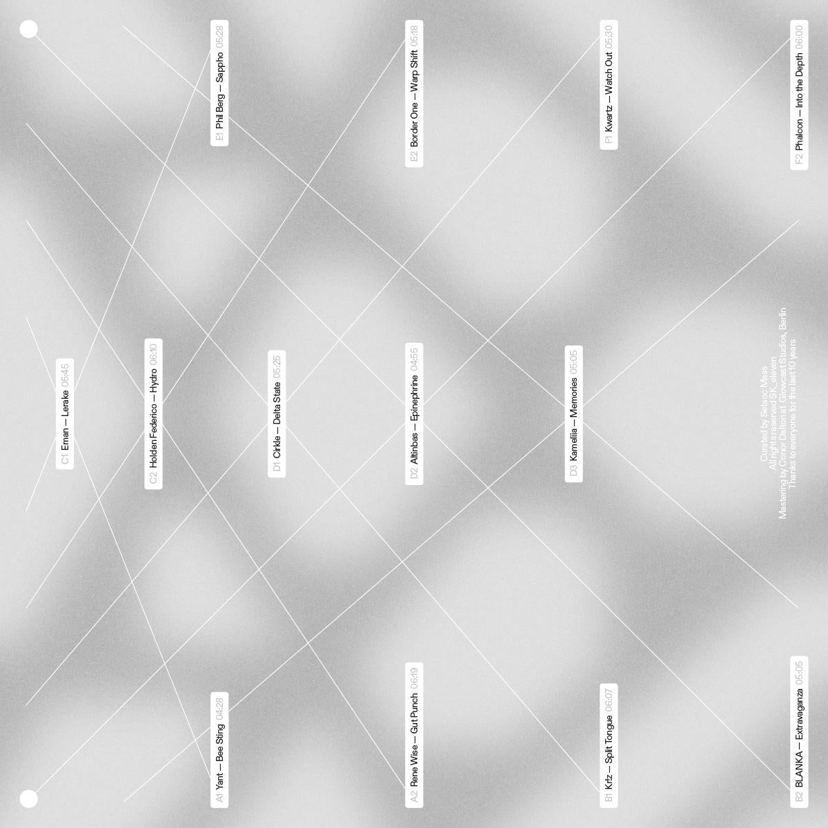 Various SK11X 10Y SK_Eleven SK11X10YLP techno vinyl record Australia