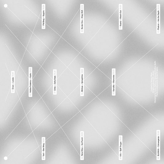 Various SK11X 10Y SK_Eleven SK11X10YLP techno vinyl record Australia