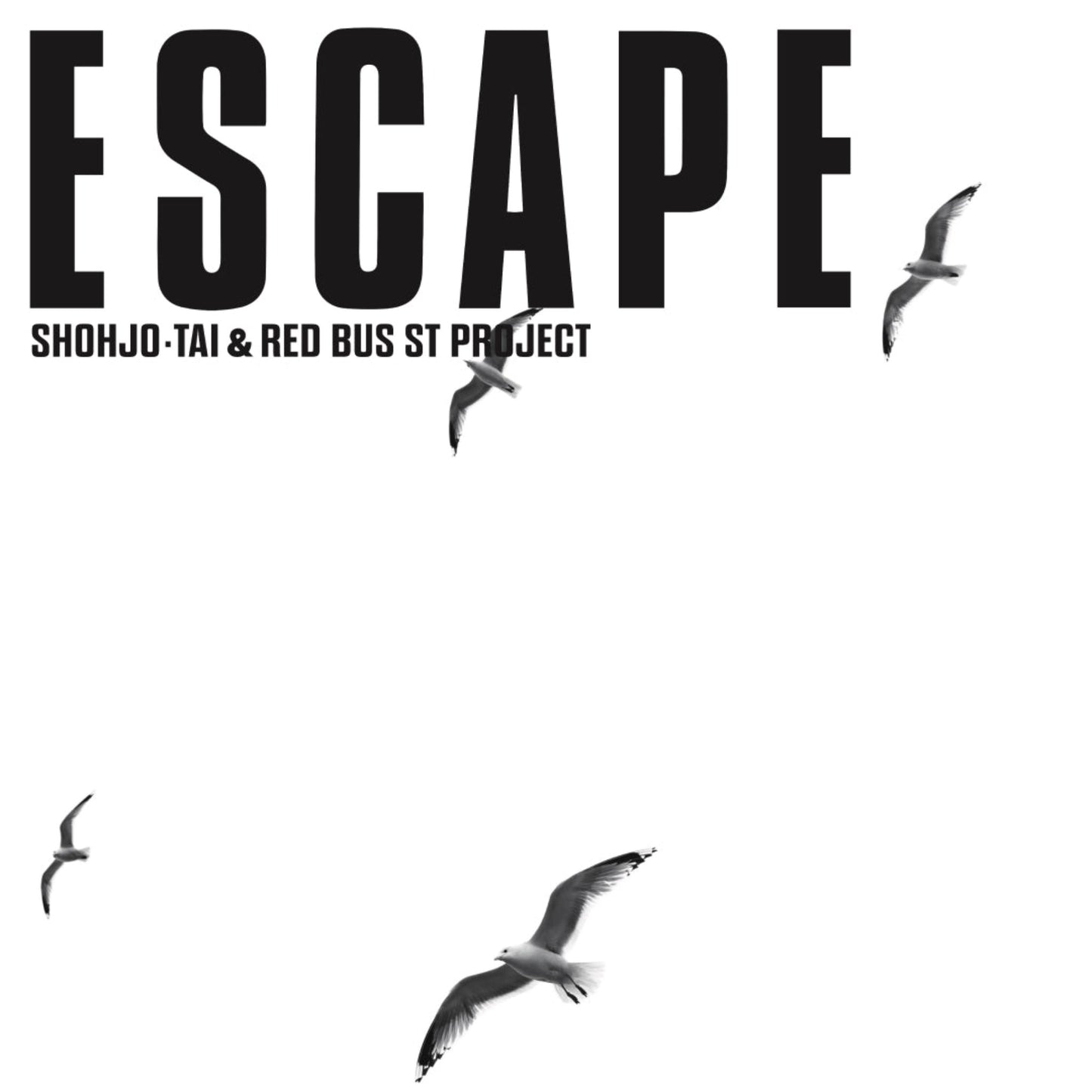 Shohjo-Tai & Red Bus St Project Escape vinyl record cover. A minimalist design with the word "ESCAPE" in bold black text and several seagulls flying against a white background.