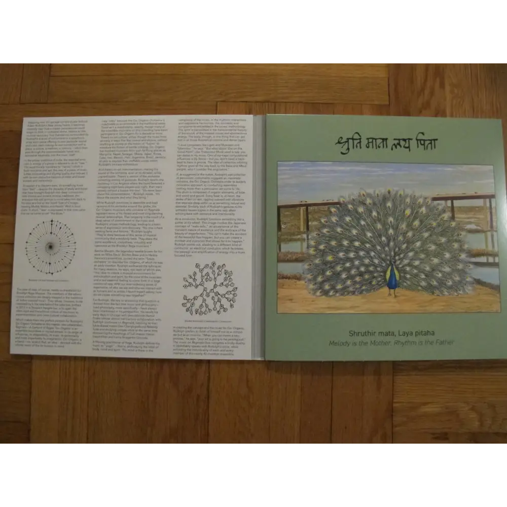 Brooklyn Raga Massive - Ragmala - A Garland Of Ragas I Meta Records (Meta 023LP) • Vinyl 3LP • Folk, jazz, World - Fast shipping