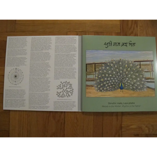 Brooklyn Raga Massive - Ragmala - A Garland Of Ragas I Meta Records (Meta 023LP) • Vinyl 3LP • Folk, jazz, World - Fast shipping
