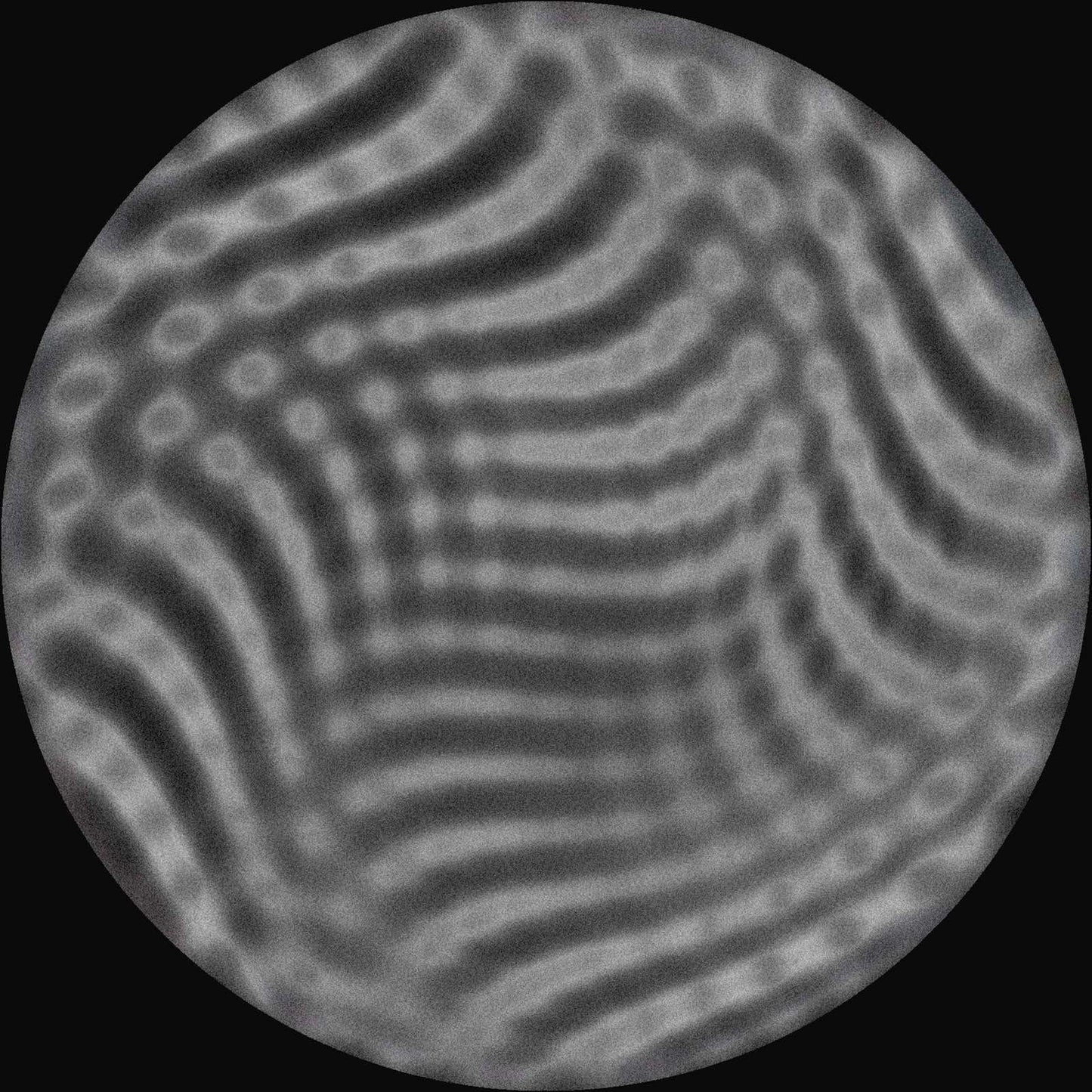 Tadan – Muses area127 127AREA005 techno vinyl Australia