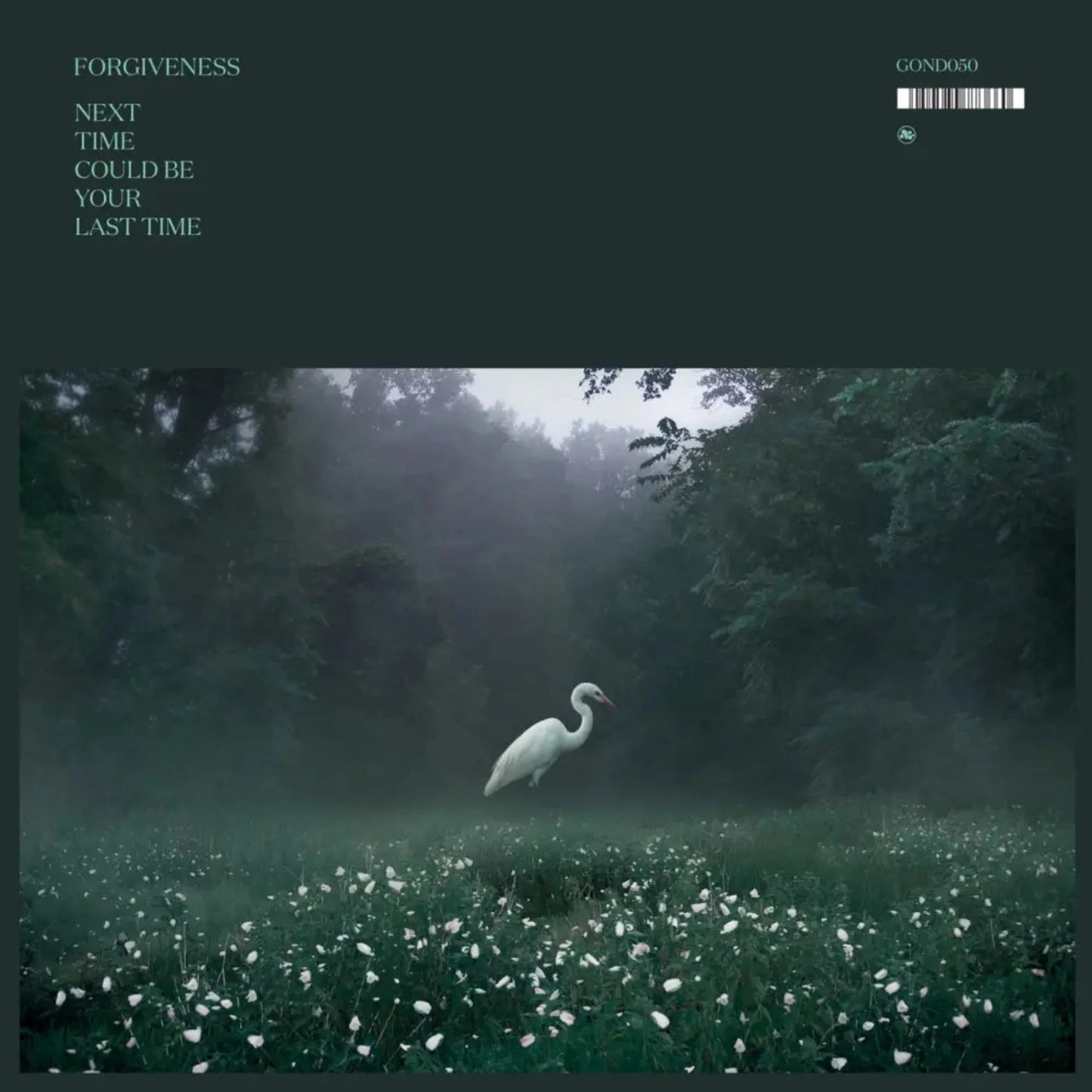 Forgiveness - Next Time Could Be Your Last Time album cover