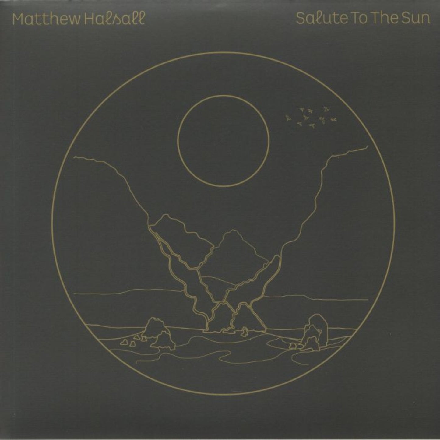 Front cover of Matthew Halsall’s "Salute To The Sun" vinyl record featuring artwork with natural elements, reflecting the album’s spiritual jazz and ambient themes.