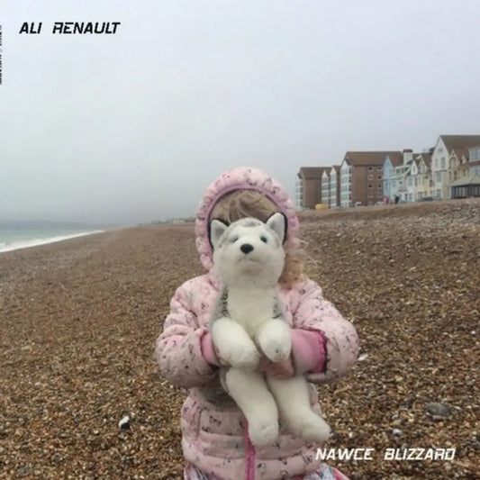 Ali Renault - Nawce Blizzard | Vivod (vivod025) • Vinyl • Disco, Electro, House - Fast shipping