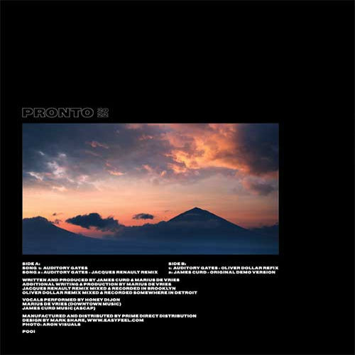 Album cover with a mountain silhouette and sunset sky, featuring the brand 'Pronto'.