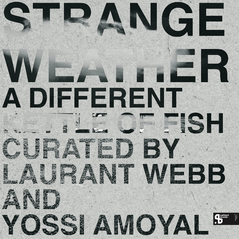 Strange Weather A Different Kettle Of Fish SUSH72 London tech house vinyl Australia