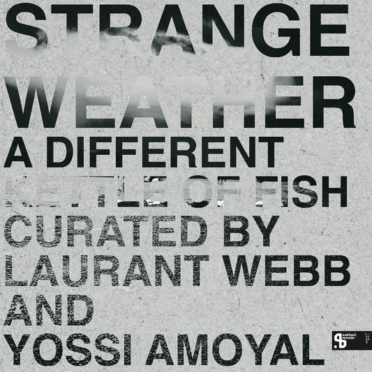 Strange Weather A Different Kettle Of Fish SUSH72 London tech house vinyl Australia