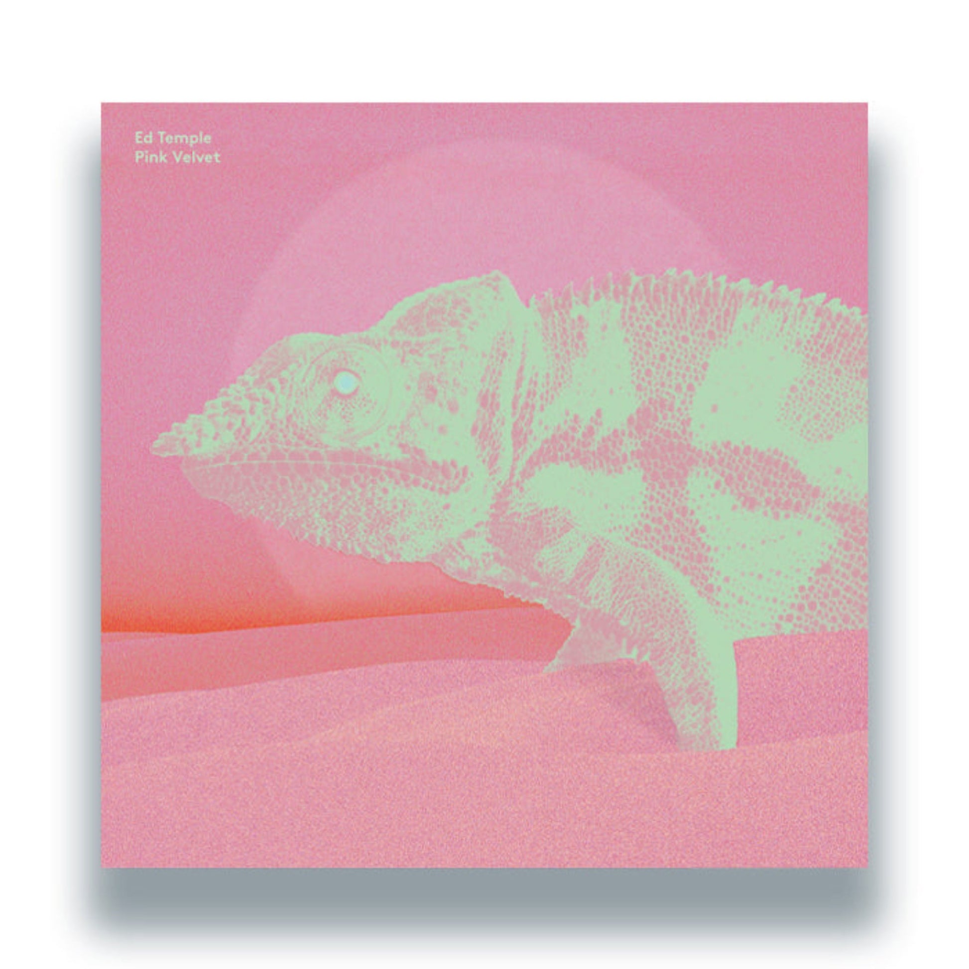 Ed Temple Pink Velvet vinyl record front cover. A minimalist design featuring a green chameleon on a pink and orange gradient background. The artist's name and album title are displayed in neon light green text.