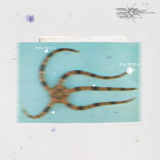 Guy Contact & Solar Suite – Perfect Harmony EP vinyl on Wax'o Paradiso Recordings