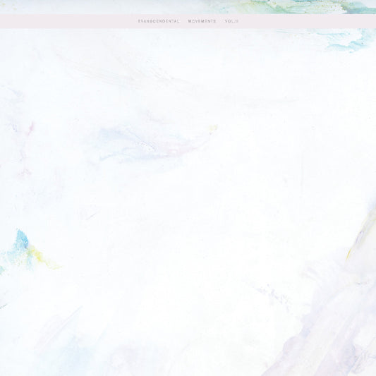 Various – Transcendental Movements Vol. 2 IDO07 ambient minimal electronic vinyl Australia