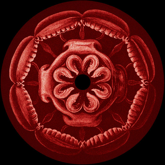 Nick Beringer – BRNGR444 vinyl cover on AKU (AKU025)