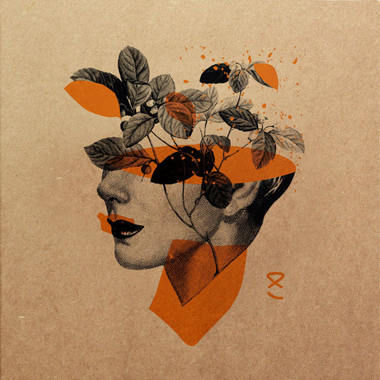 Numerous Agnomens Vol. III vinyl cover on AKU (AKUVA03)
