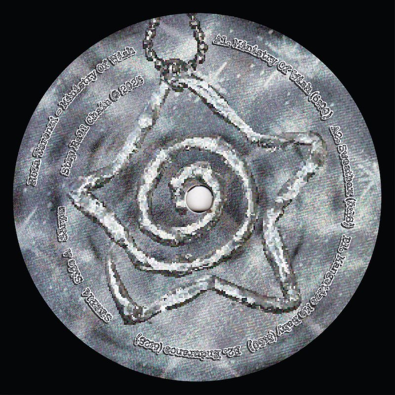 Roza Terenzi – Ministry Of Wish Vinyl Record (Step Ball Chain STEP14) – Genre-bending club music with bass, minimal, and atmospheric textures recorded between Berlin and Perth.
