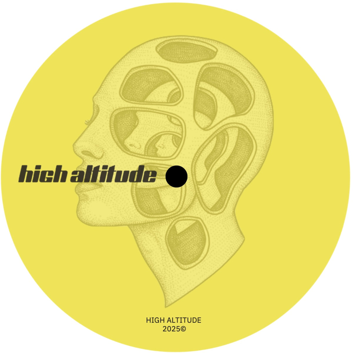 Various Artists High Altitude 002 on High Altitude HGH002 vinyl record Australia