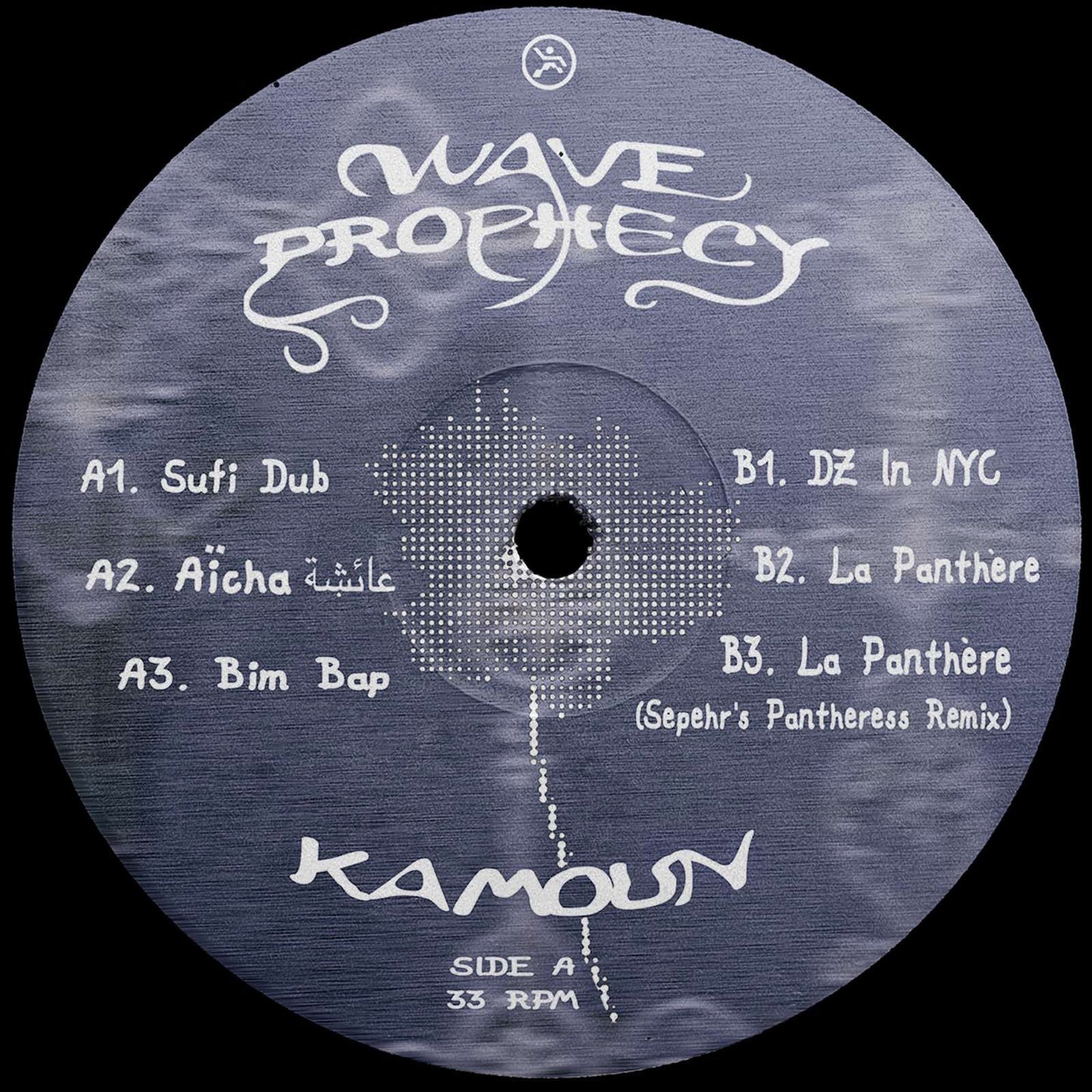 Kamoun – Wave Prophecy Dance Data DDR009 techno vinyl Australia