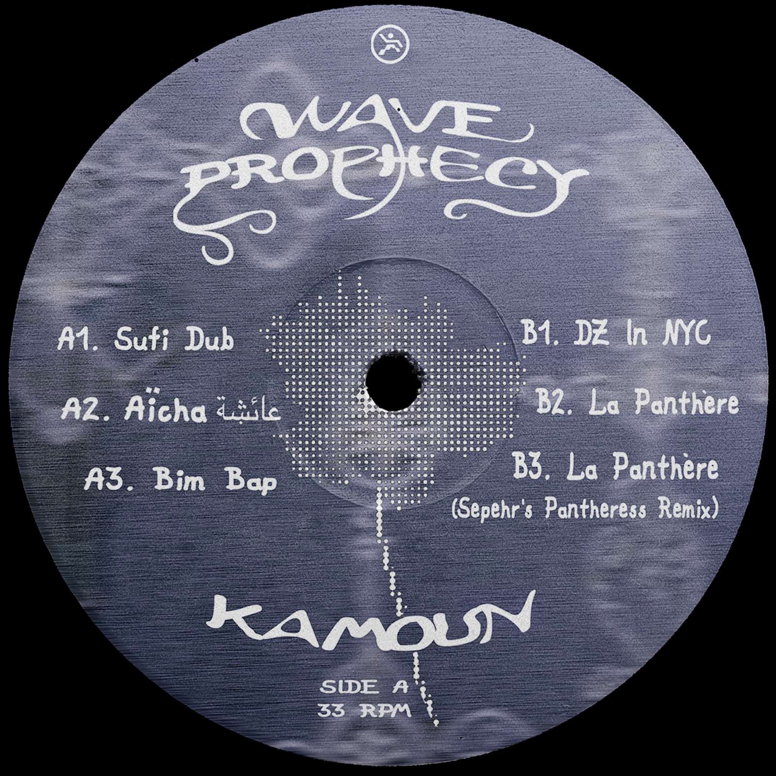 Kamoun – Wave Prophecy Dance Data DDR009 techno vinyl Australia