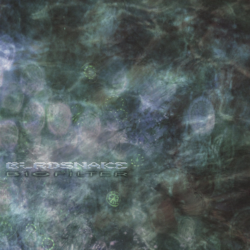 Birdsnake – Biofilter Bathtub Music electronic downtempo LP vinyl record Australia