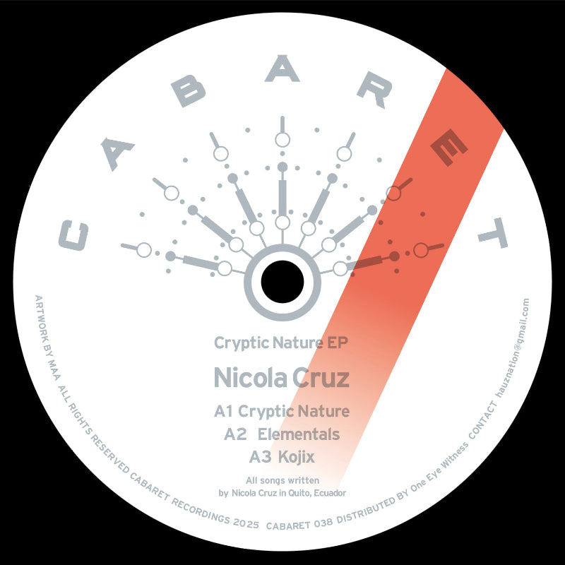 Nicola Cruz Cryptic Nature EP vinyl cover