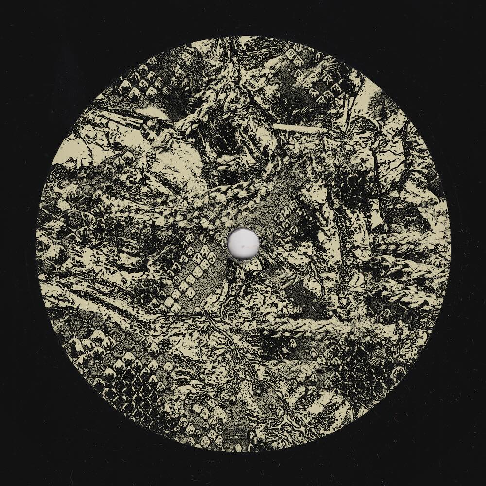 Per Hammar – Sidewinder EP on Craigie Knowes CKNOWEP73 vinyl record Australia
