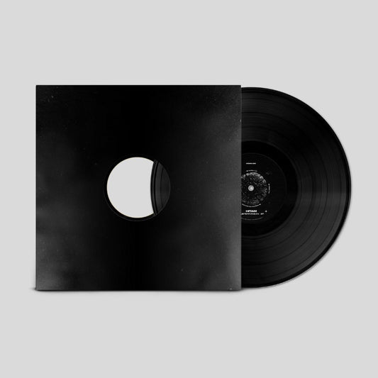 Black vinyl record with matching sleeve on a light gray background