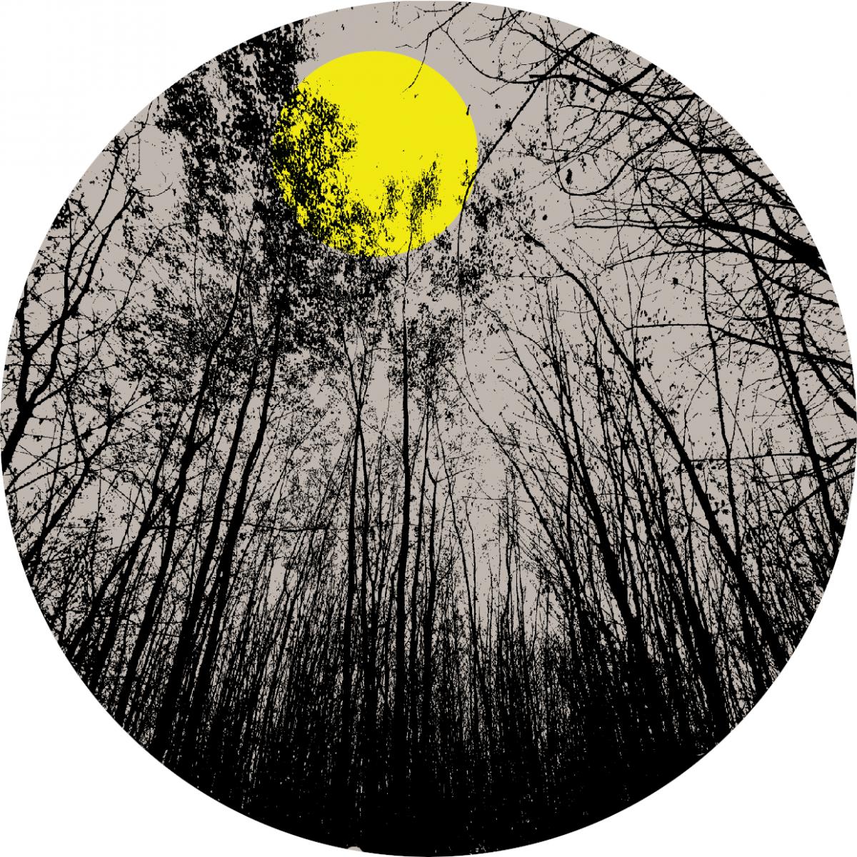 Mod21 & Toki Fuko Still Thinking Introspection Audio Limited IAL006 vinyl record Australia
