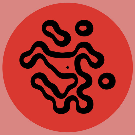 Chaos In The CBD Jon Sable Te Puke Thunder EP deep house vinyl record Australia