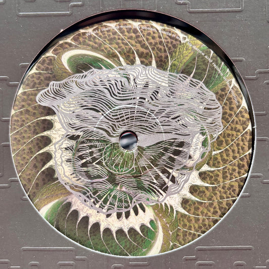 Volodymyr Gnatenko – Mershiy LP vinyl cover – Kalahari Oyster Cult OYSTER60