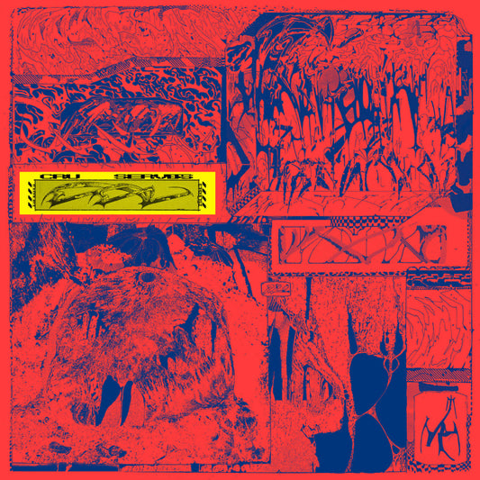 Cru Servers & CCV – EEL experimental vinyl LP on 12th Isle Records