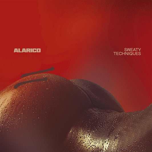 Alarico Sweaty Techniques Key Vinyl KEYLP05 KEY049 2x12 inch techno LP Australia