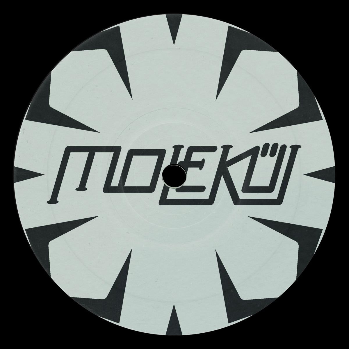 Random Order – Automatic Responser EP on Molekül MLKL036 2026 repress vinyl record Australia