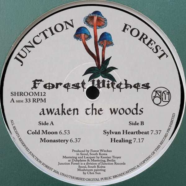 Forest Witches Awaken The Woods Junction Forest SHROOM12 vinyl record Australia