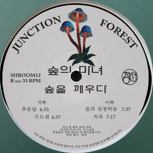 Forest Witches Awaken The Woods Junction Forest SHROOM12 vinyl record Australia