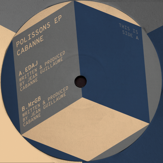 Vinyl record with text on a blue and beige background