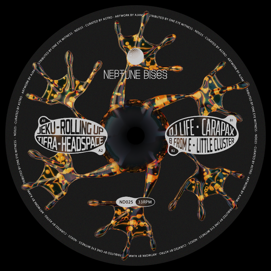 Neptune Discs Vol. 10 Vinyl Record (ND025) – Progressive house and trance-inspired club tracks from Jeku, Tifra, DJ Life and B From E.