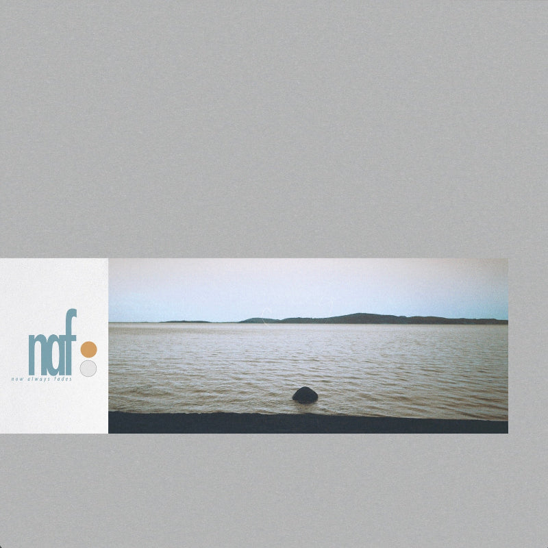 Poster with a landscape of a lake and mountains, featuring the NAF logo on the left.