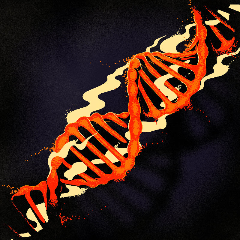 Various – Genetic Memories Vol. 2 Vinyl Record (On Rotation ONRO06) – Breaks, tech house, and deep club cuts from Rambal Cochet, Moisk, Primitive Needs, and Bolam.