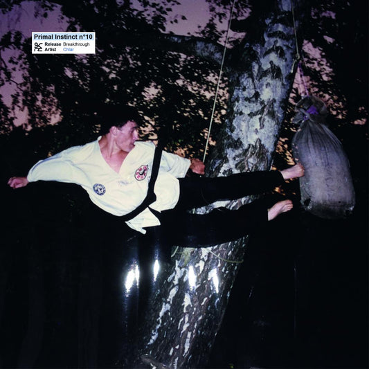 Chlär Breakthrough Primal Instinct PI10 vinyl record Australia