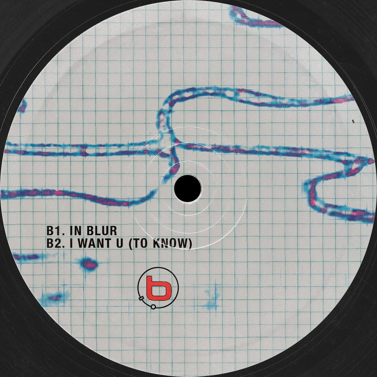 Bliss Inc. echo-chambered on Punctuality PNCT011 vinyl record Australia