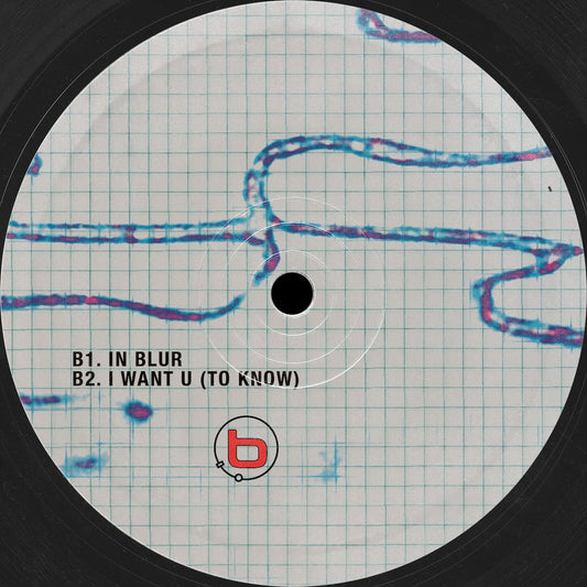 Bliss Inc. echo-chambered on Punctuality PNCT011 vinyl record Australia